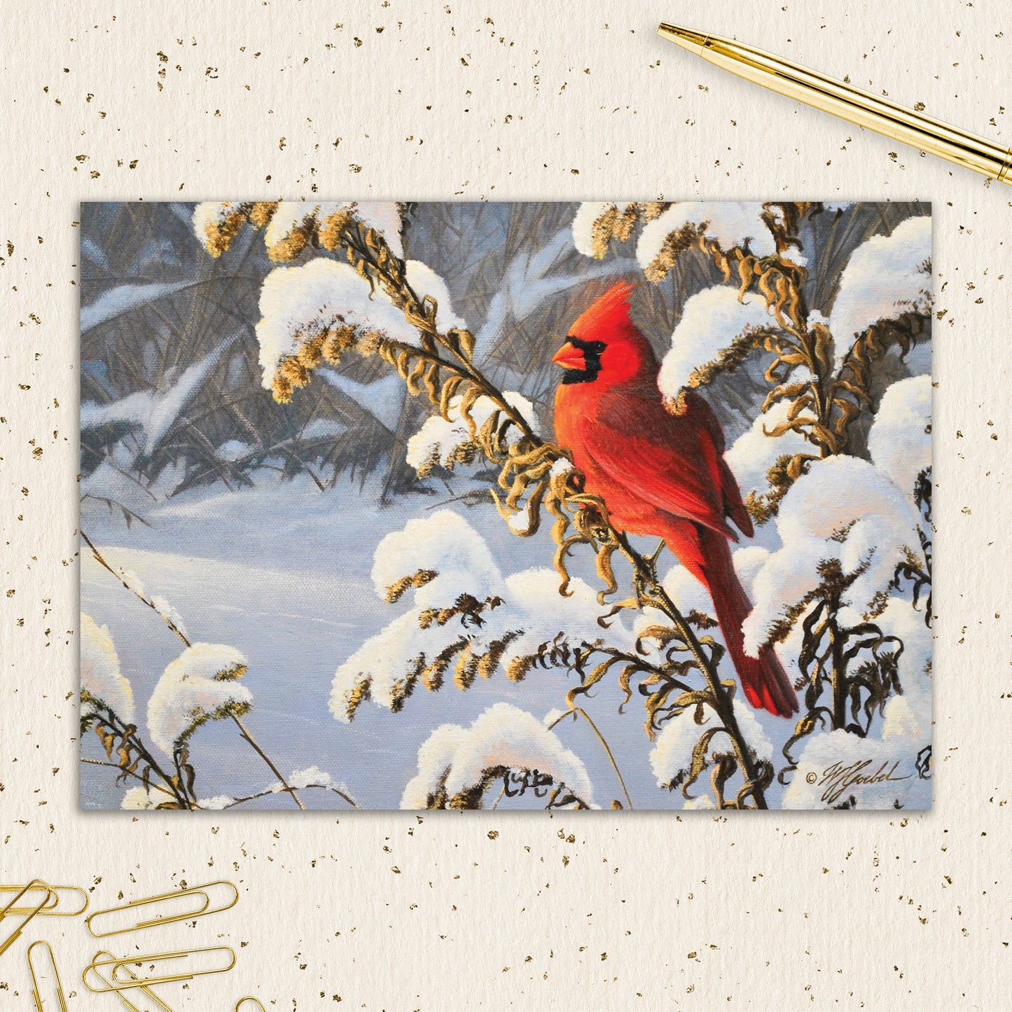 8564-IOPEOX1089L | XM/Cardinal on Branch