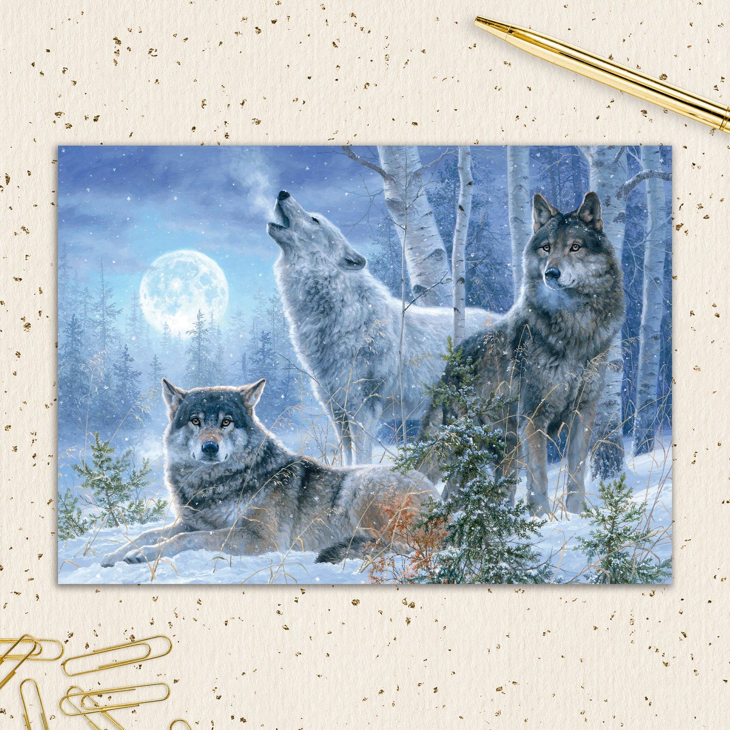 8564-IOPIOS0802S | HOL/Three Wolf Moon