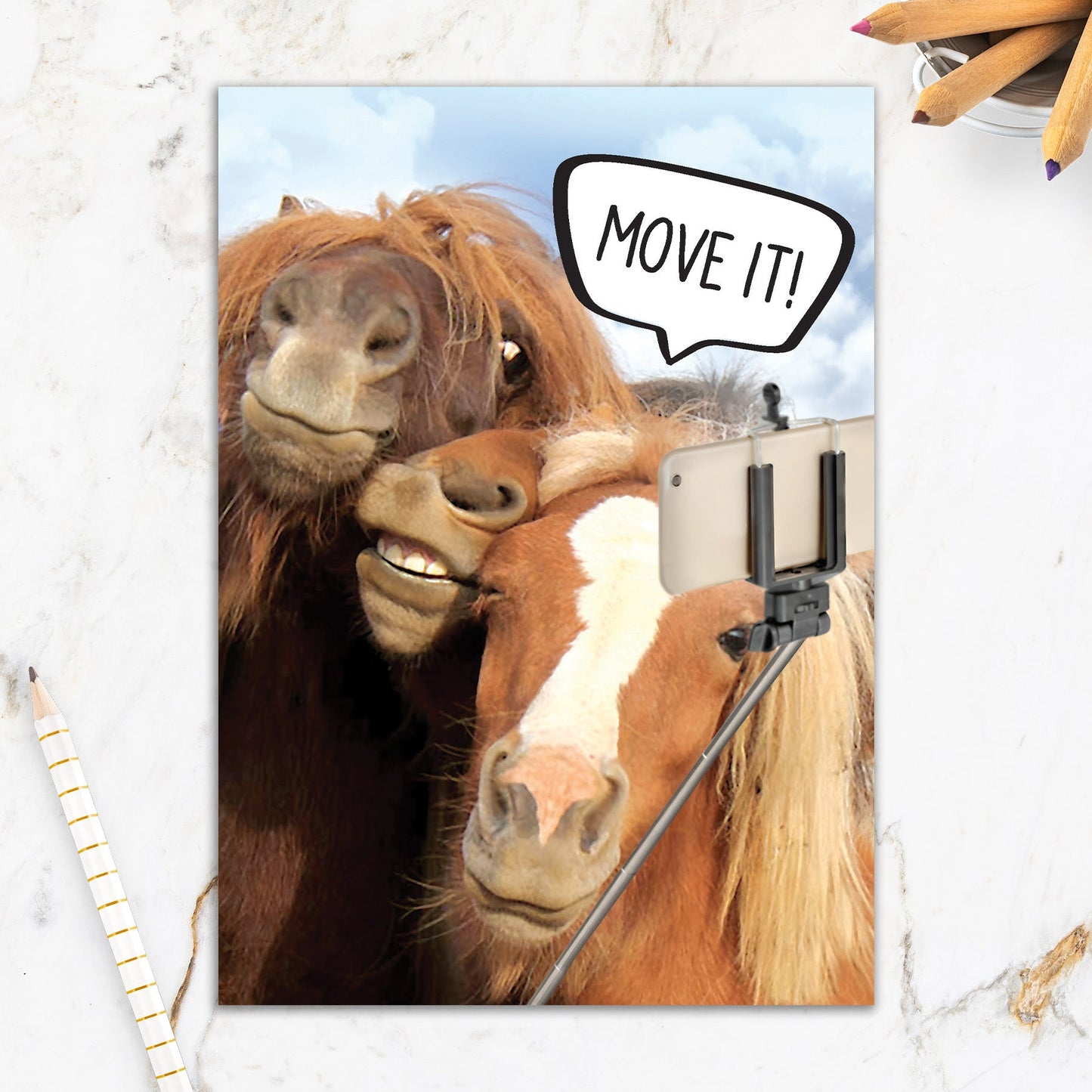 564-IOPW0125C | BD/Horse Selfies