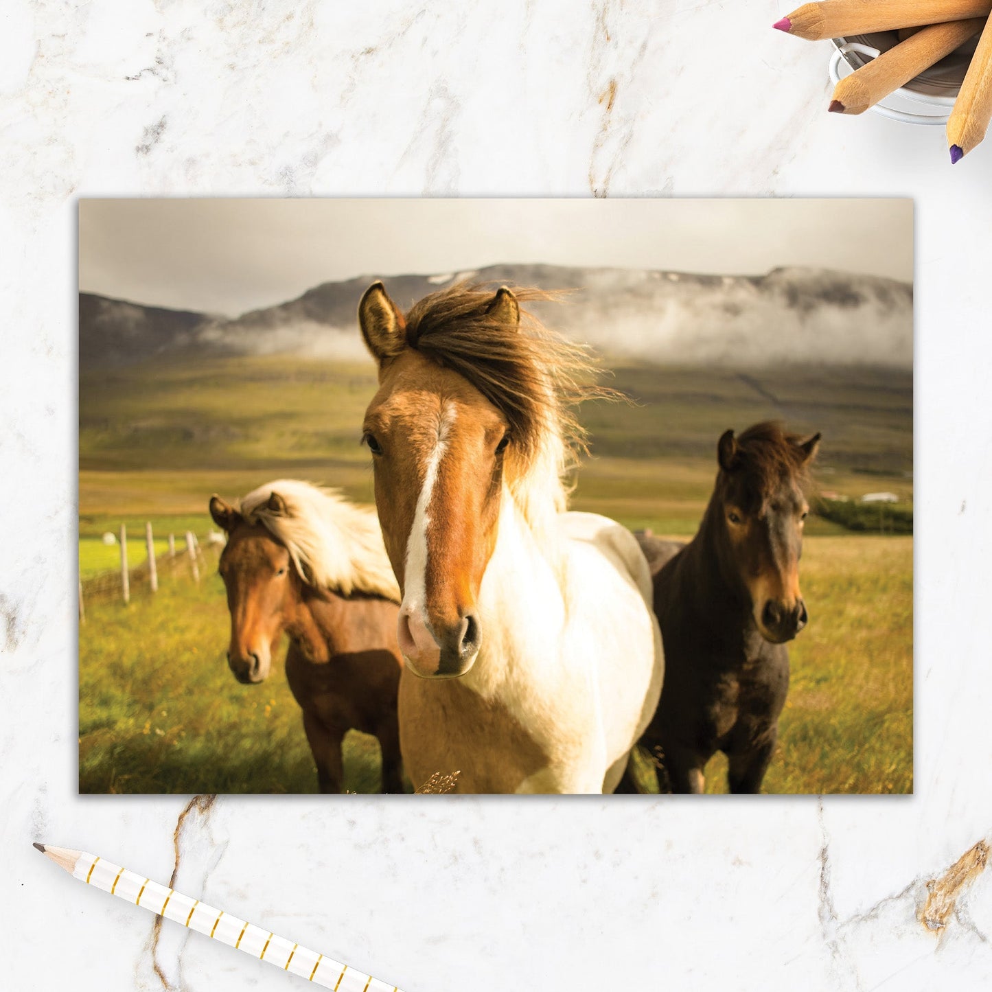 564-IOPW0148C | BD/Horses On Plains