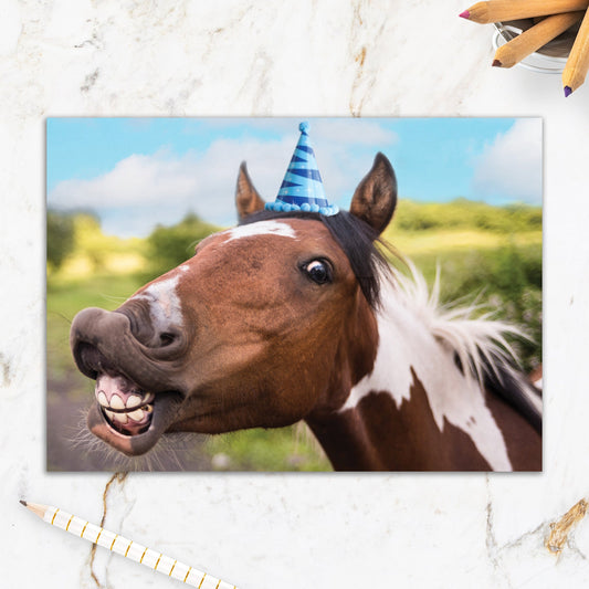 564-IOPW0177C | BD/Horse Birthday Hat