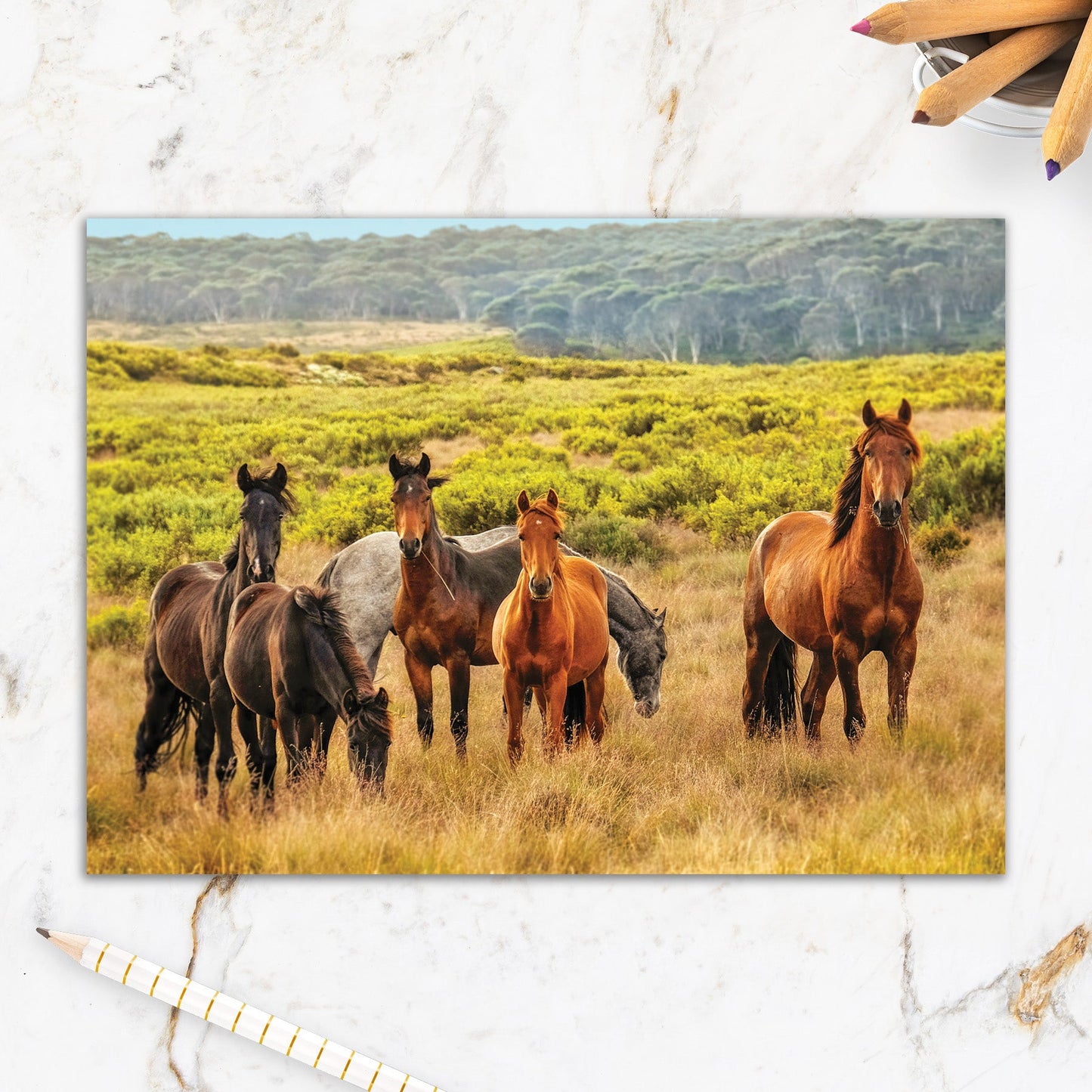 564-IOPW0217C | BD/Horses Grazing