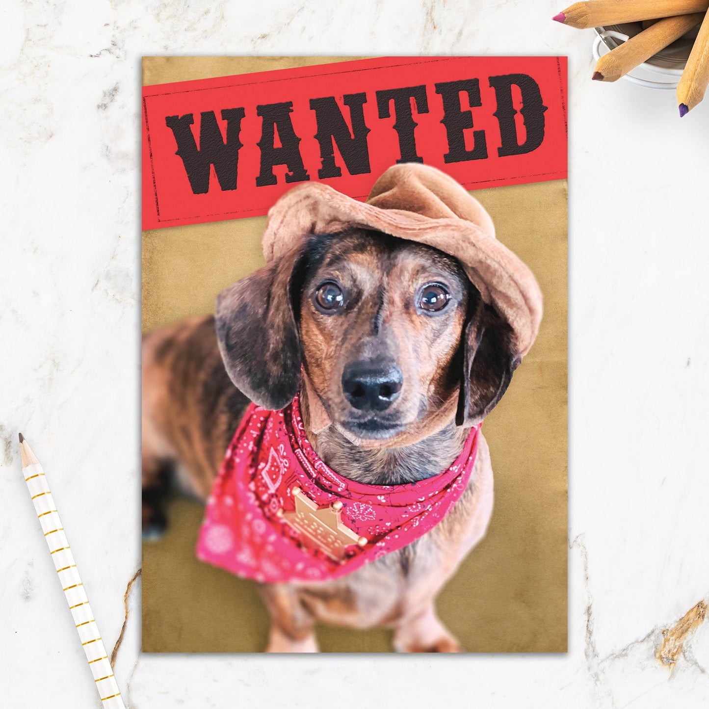 564-IOPW0264C | BD/Wanted Dog