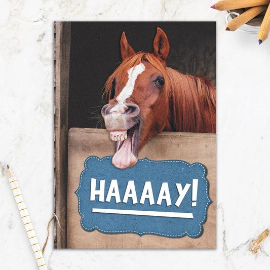 564-IOPW0316C | BBD/Haaay Horse