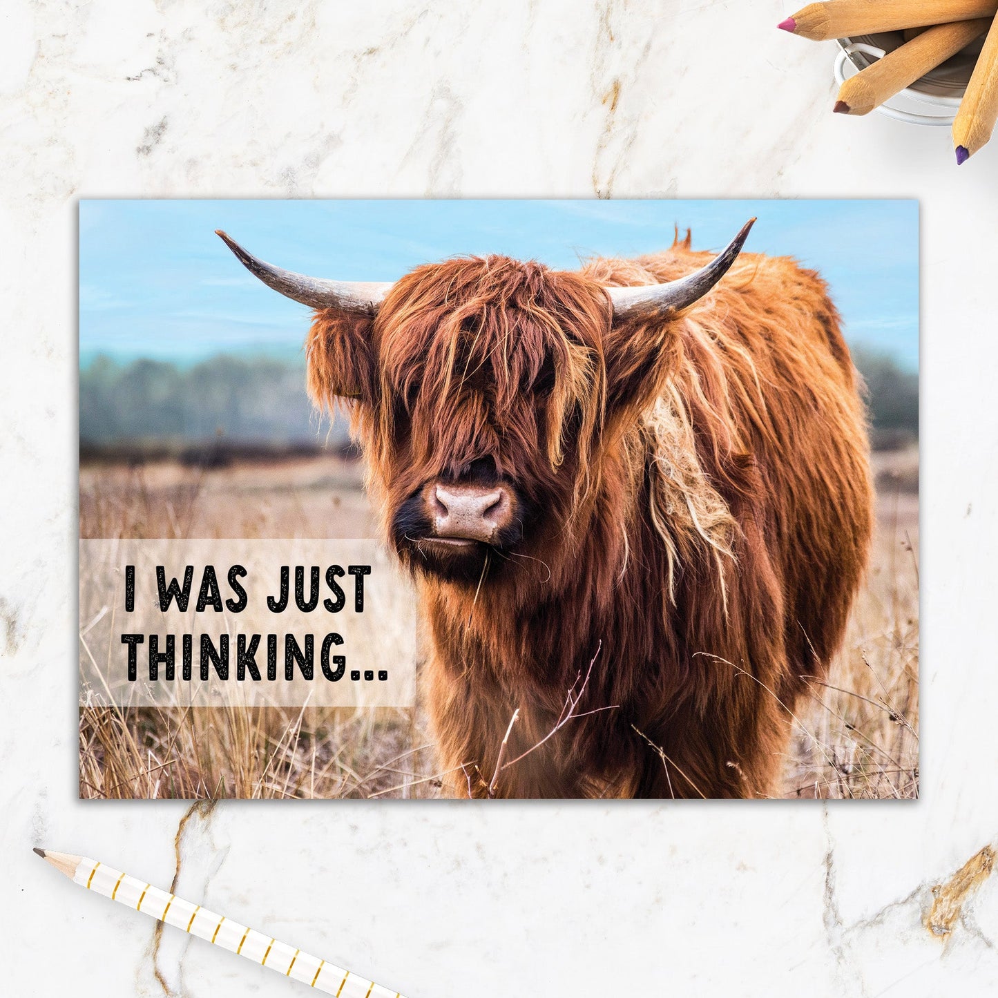 564-IOPW0318C | TH/Thinking Cow