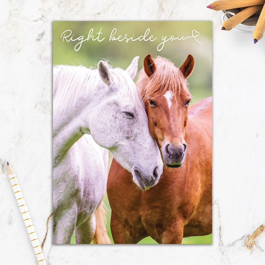 564-IOPW0321C | RO/Right Beside You