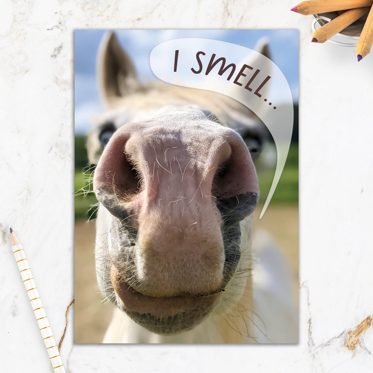 564-IOPW0322C | BD/Smelling Horse