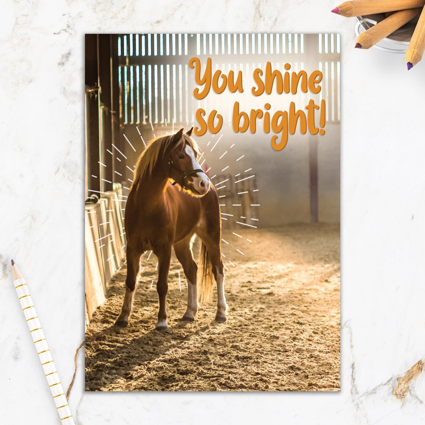 564-IOPW0324C | CO/Shining Horse