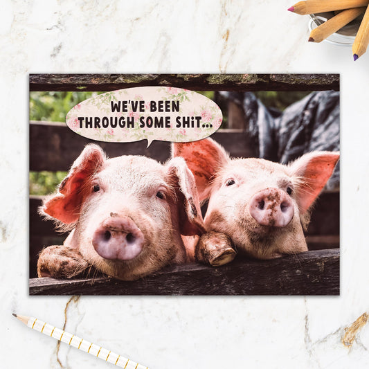 564-IOPW0326C | FR/Pigs Through It