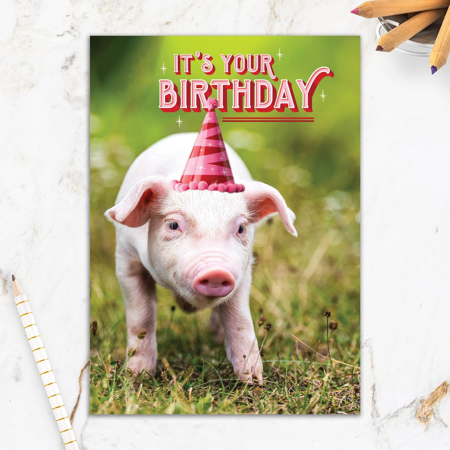 564-IOPW0327C | BD/Party Piglet
