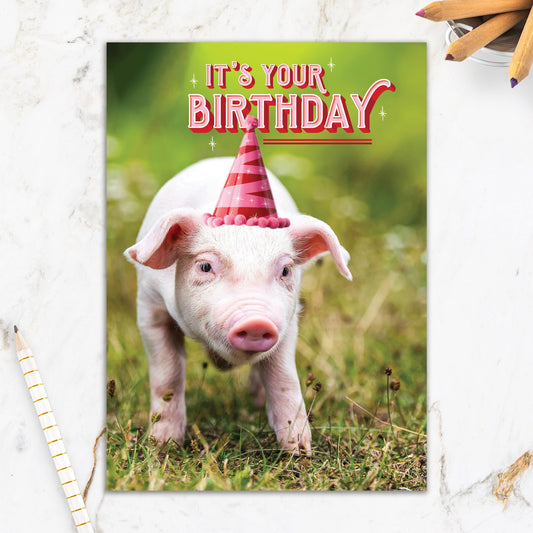 564-IOPW0327C | BD/Party Piglet