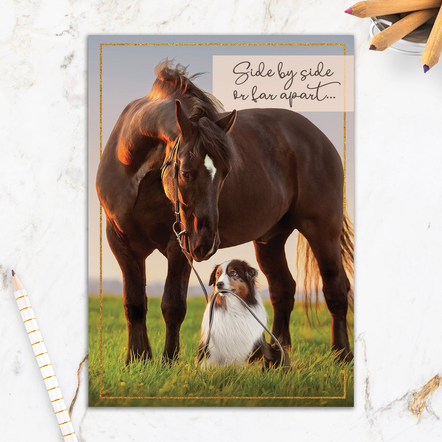 564-IOPW0336C | FR/Horse Dog Friends