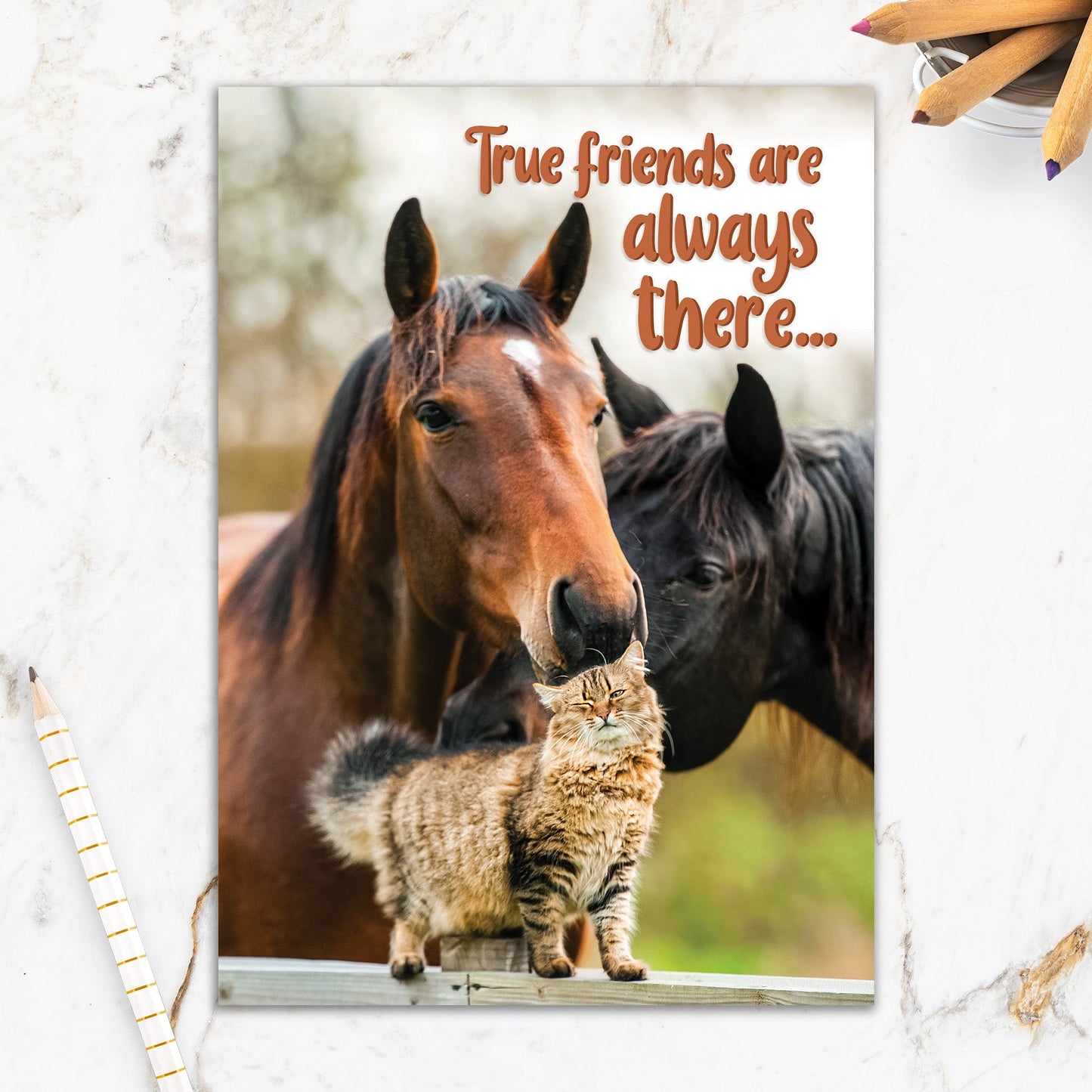 564-IOPW0337C | FR/Horses Cat Friends