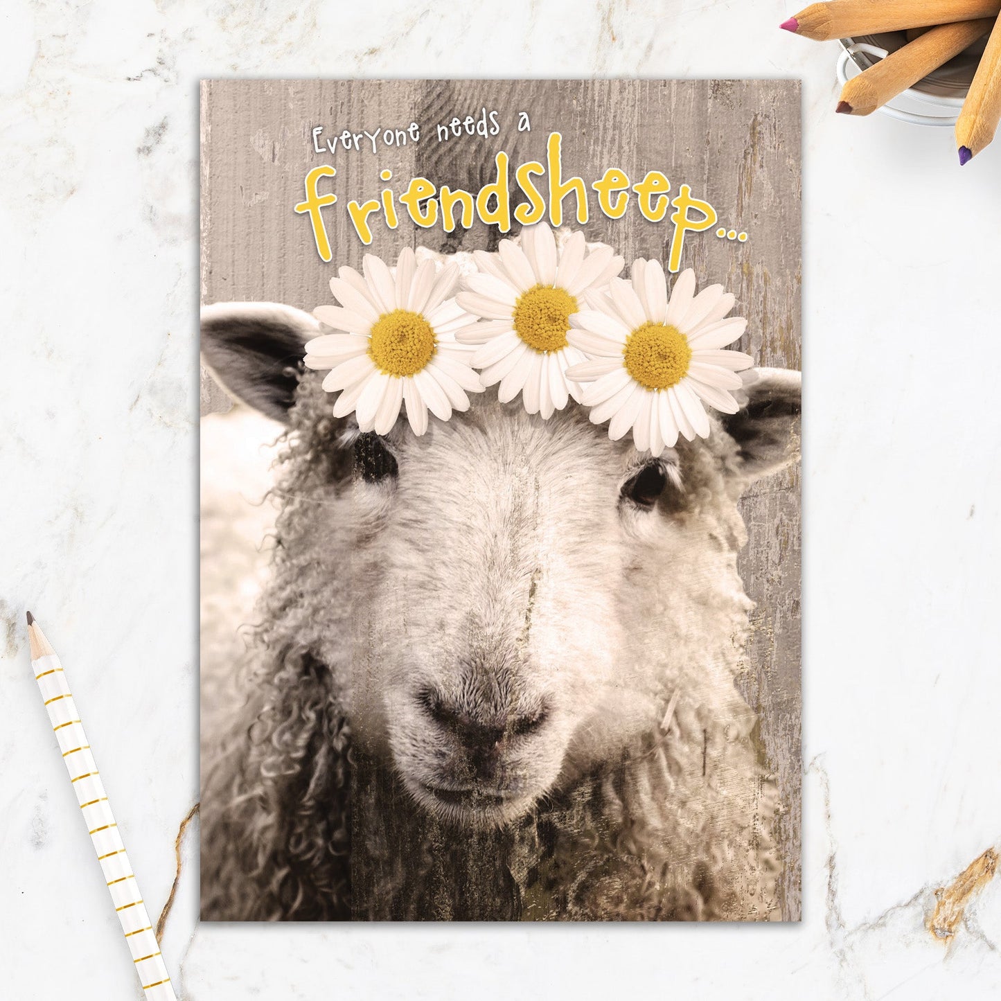 564-IOPW0355S |FR/Friendsheep