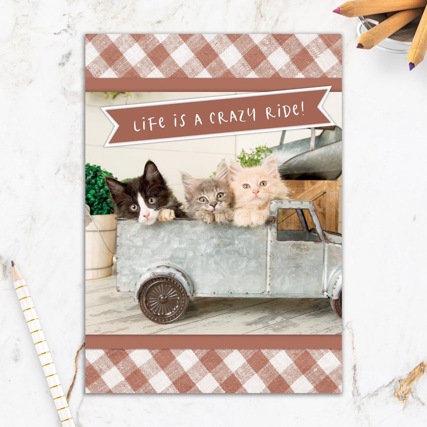 564-IOPW0389S |EN/Kittens in Truck