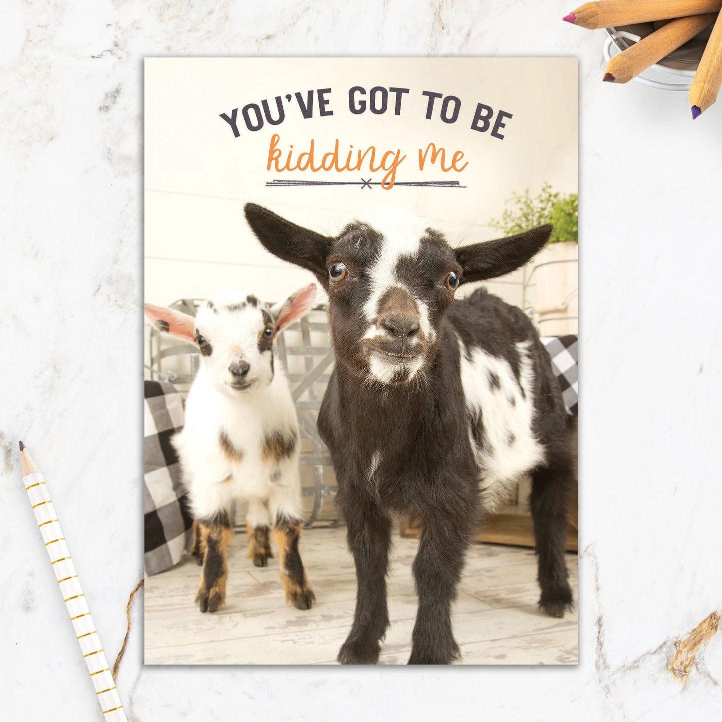 564-IOPW0390S | BD/Kidding Me