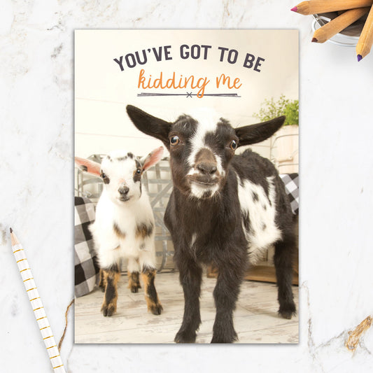 564-IOPW0390S | BD/Kidding Me