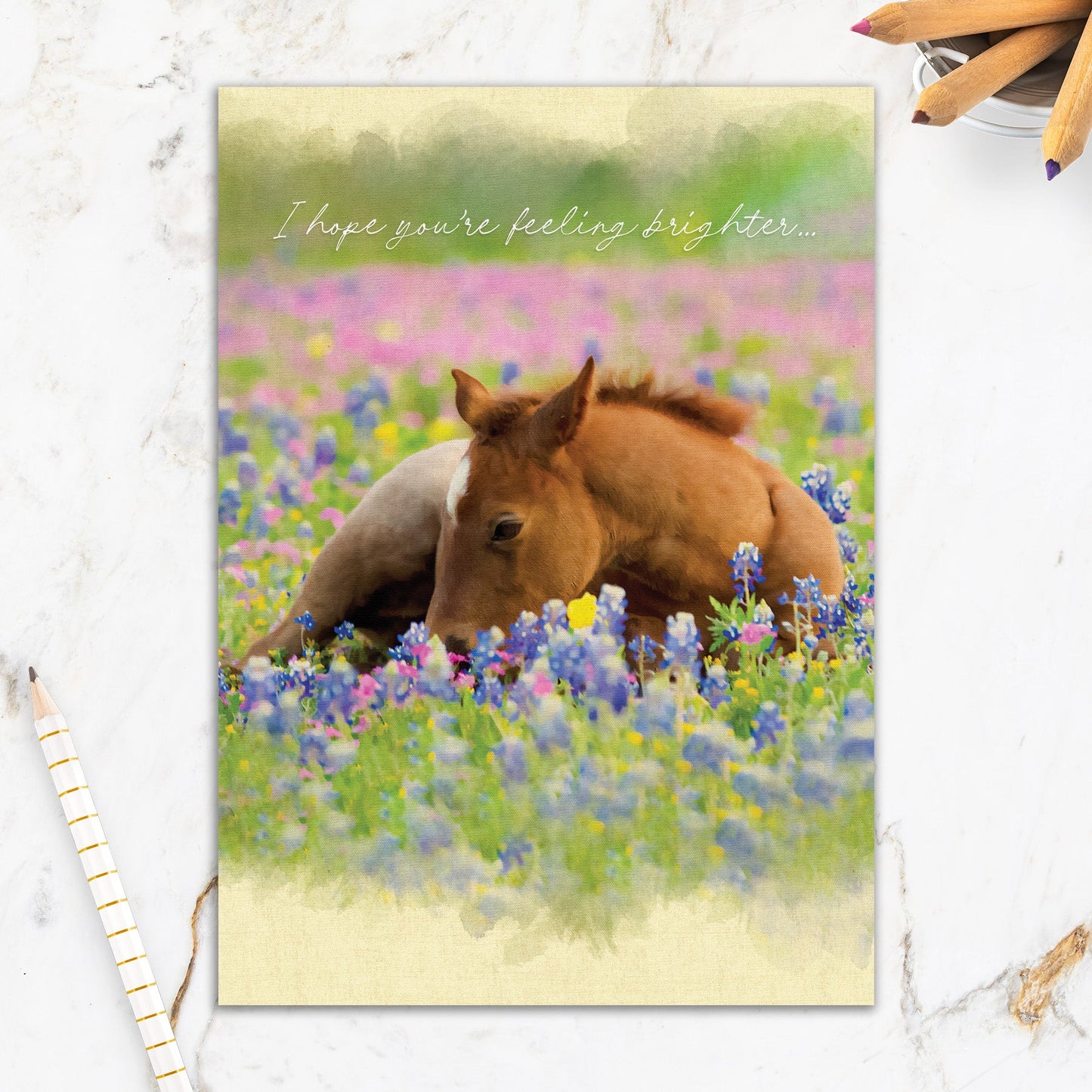 564-IOPW0397S |GW/Horse in Flowers