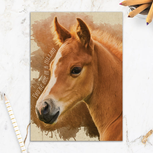 564-IOPW0407L |BD/One in a Million