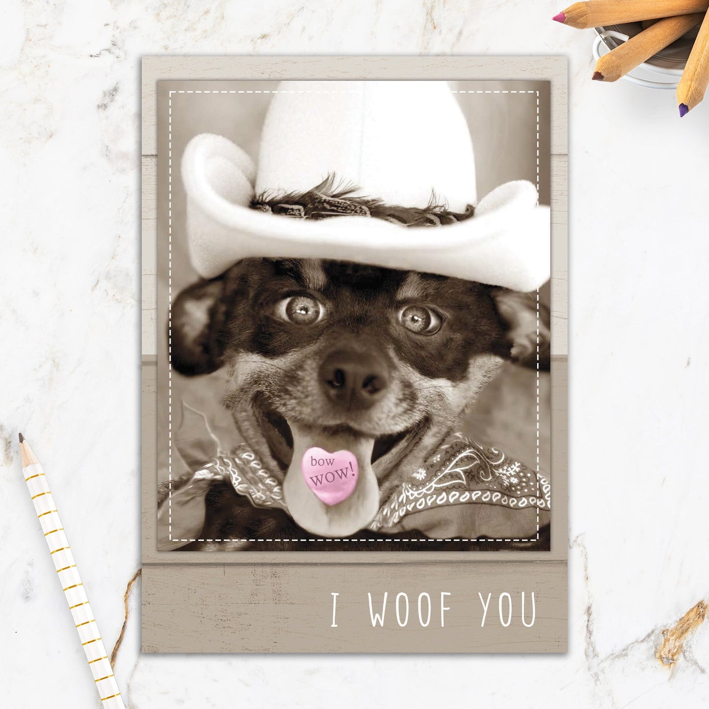 564-IOPW0423S | AN/Bow Wow