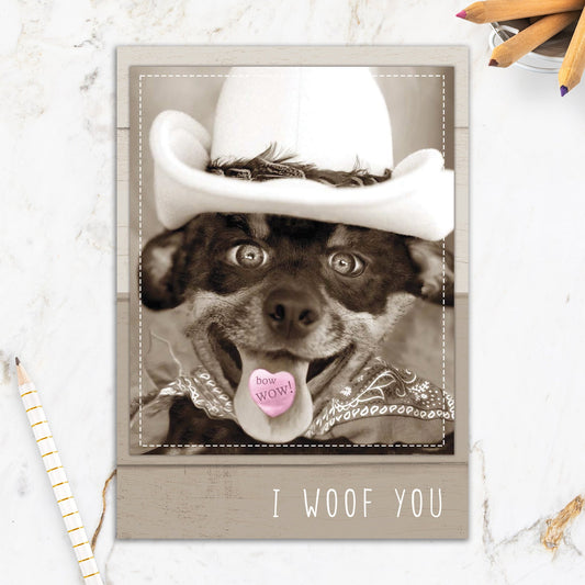 564-IOPW0423S | AN/Bow Wow