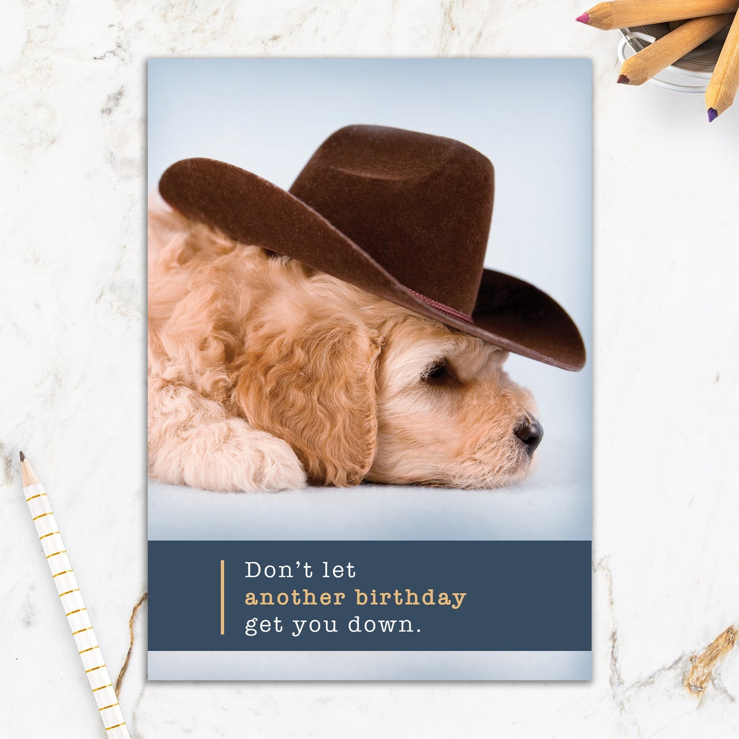 564-IOPW0425C | BD/Golden Cowboy Pup