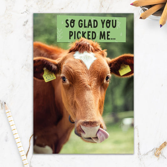 564-IOPW0435C | FR/Picking Cow