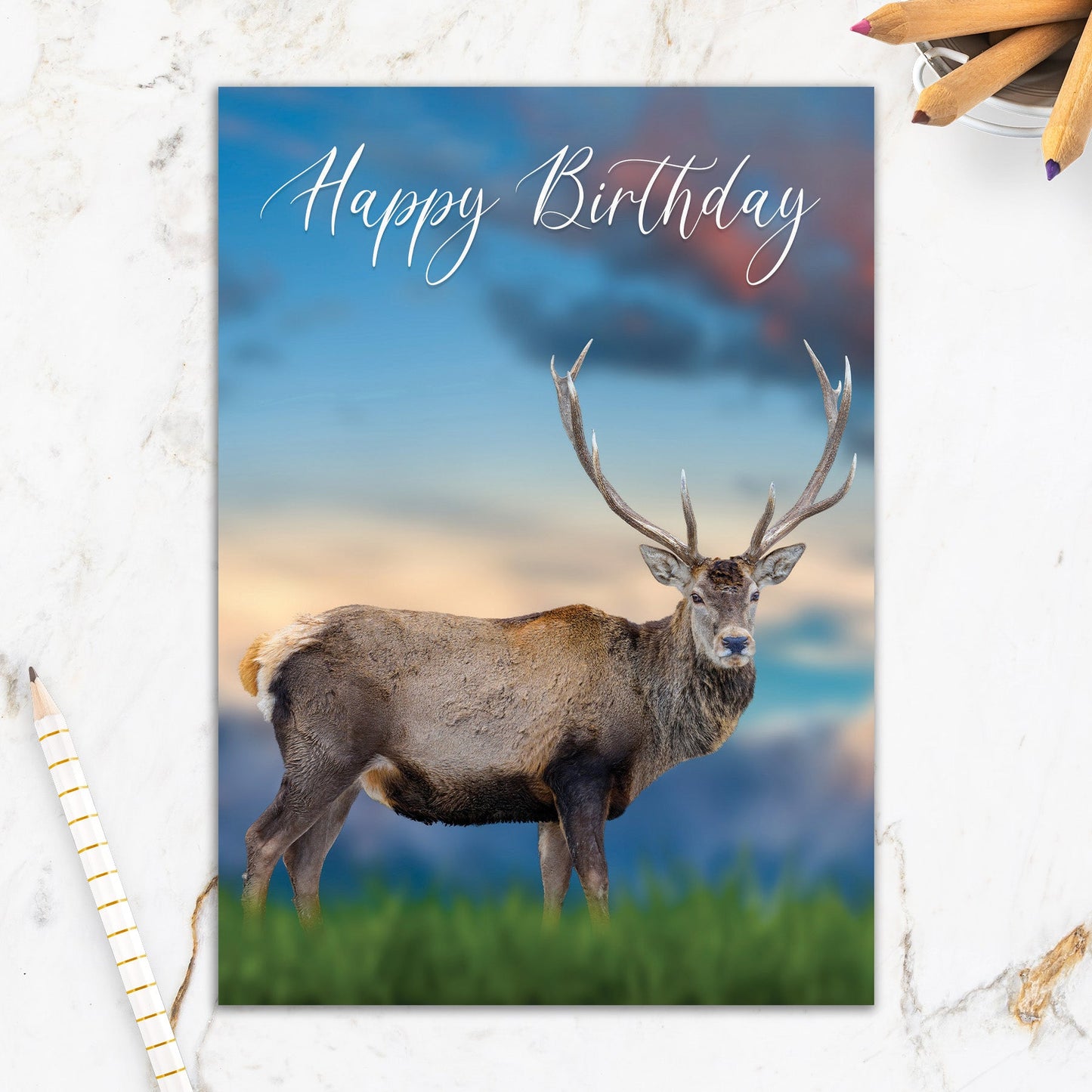 564-IOPW0436C | BD/Majestic Buck