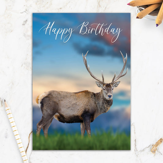 564-IOPW0436C | BD/Majestic Buck