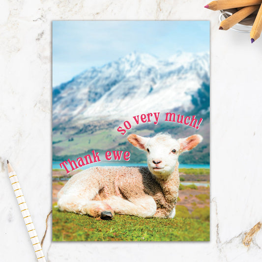 564-IOPW0437C | TY/Thank Ewe