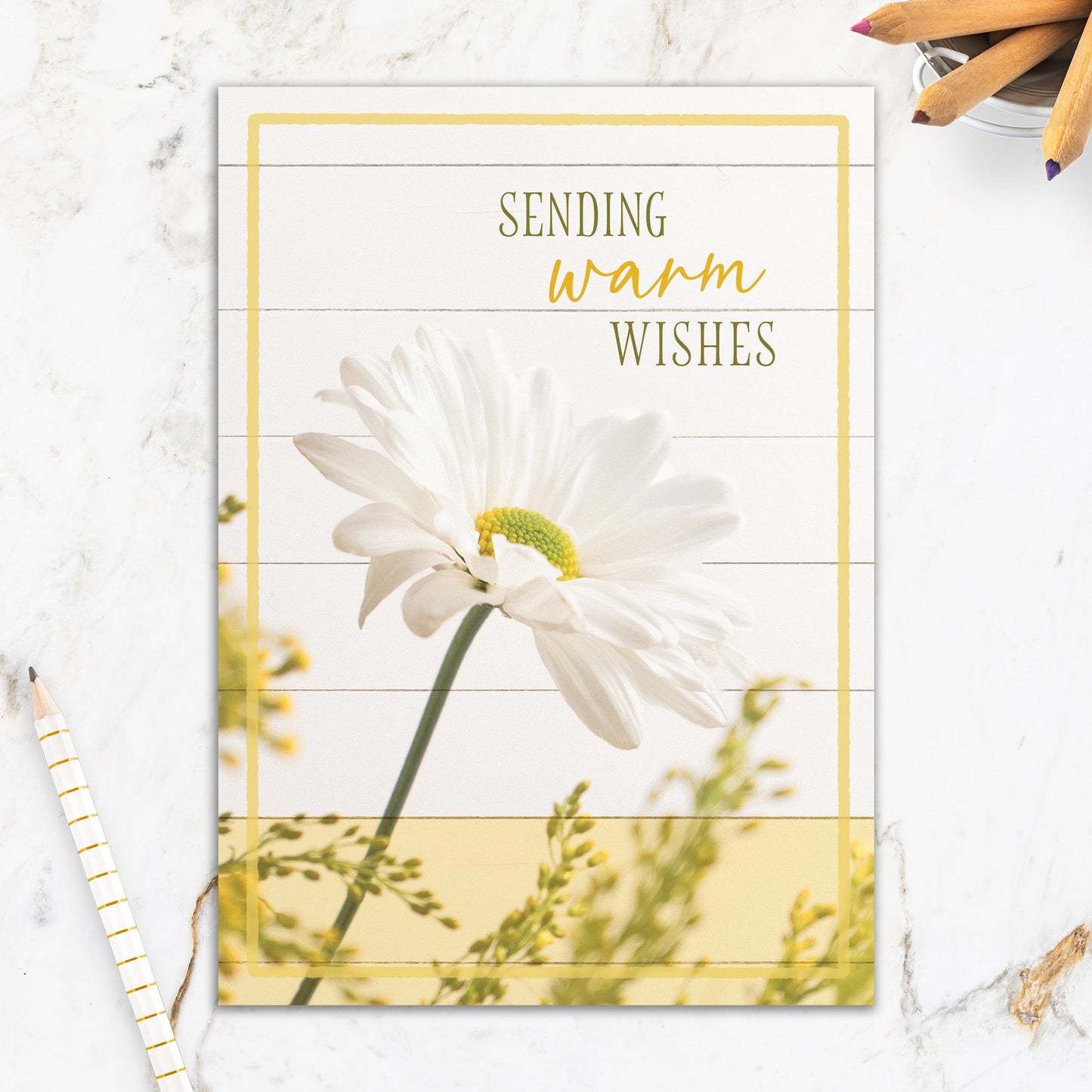 564-IOPW0446S | GW/Daisy Wishes