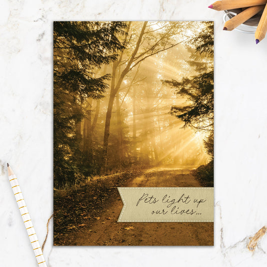 564-IOPW0451L | PSY/Sunlit Path