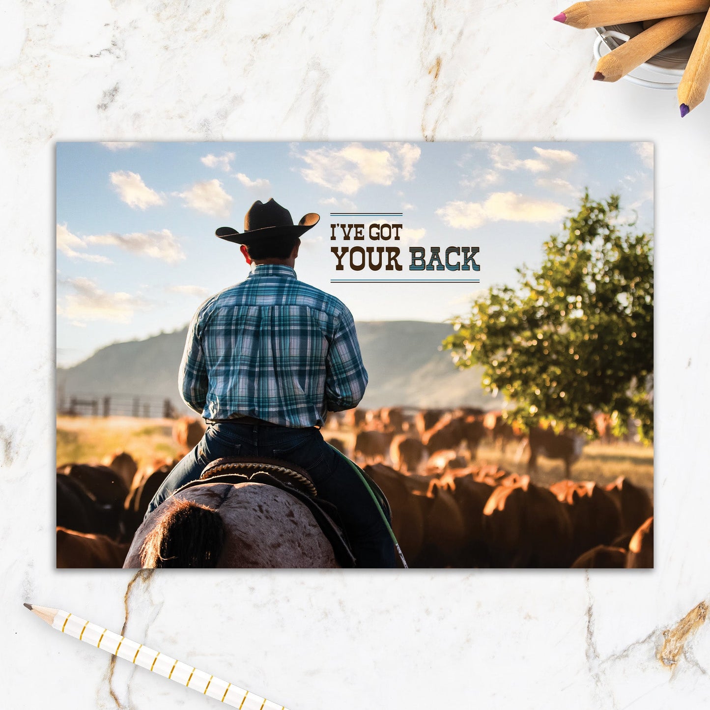 564-IOPW0456C | EN/Got Your Back