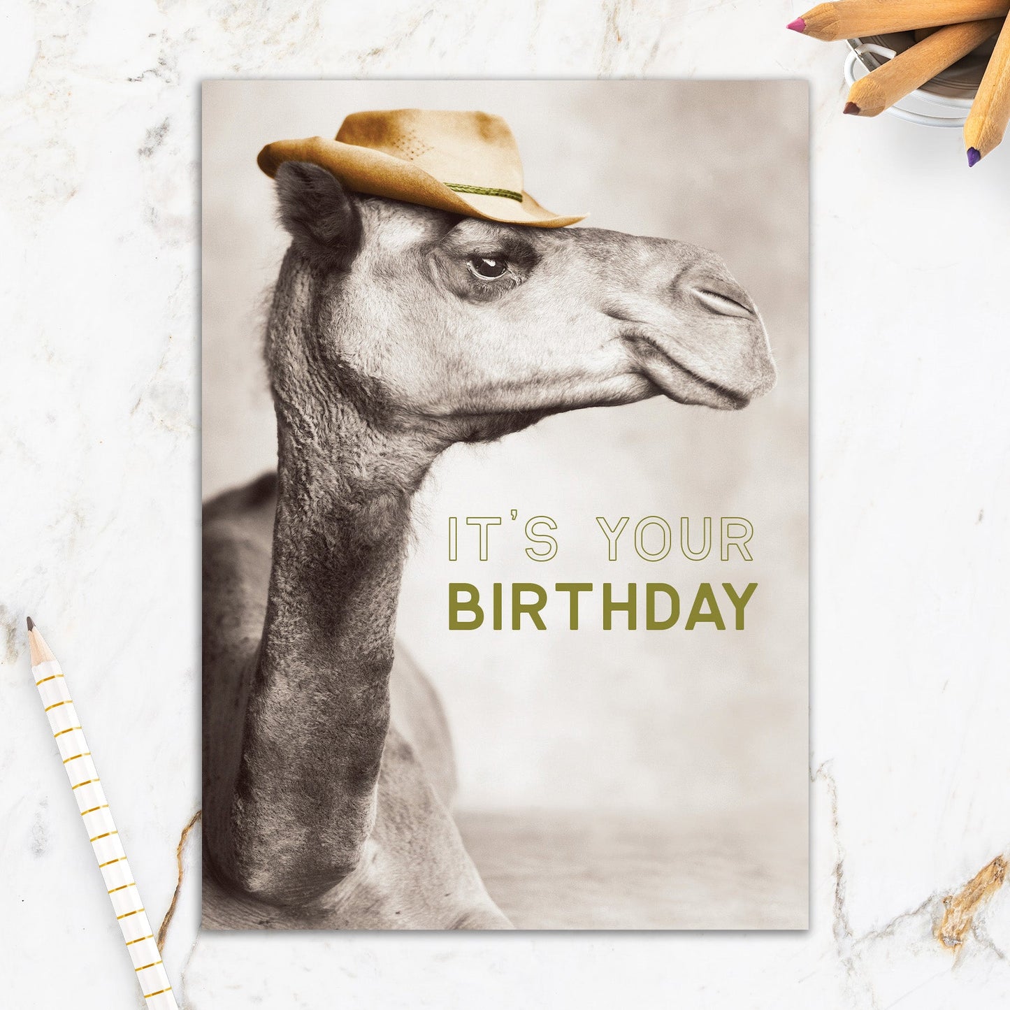 564-IOPW0816L | BD/Cowboy Camel