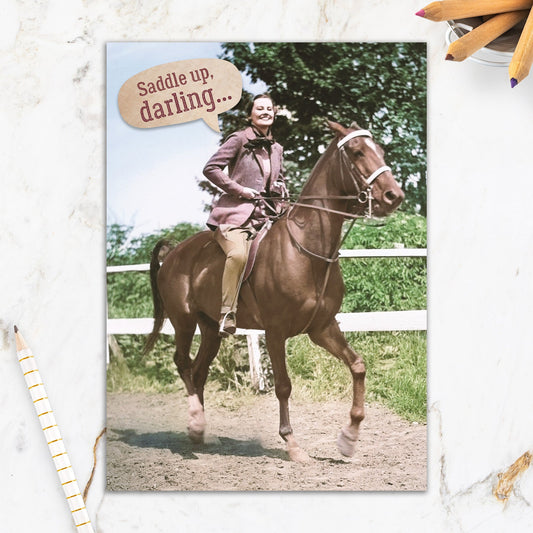 564-IOPW0823C | BD/Saddle Up