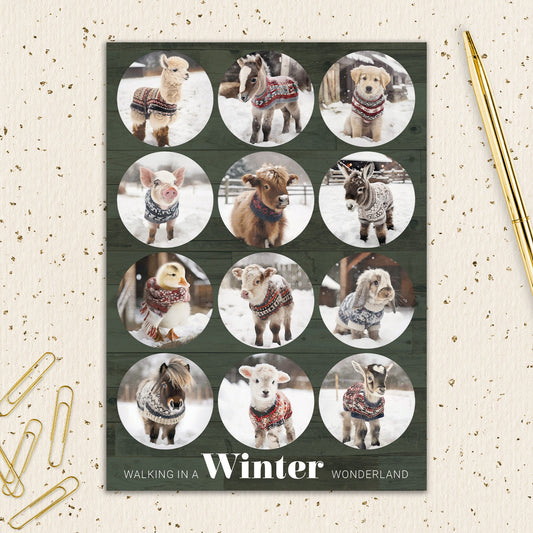 8564-IOPWOS0795C | HOL/Winter Wonderland