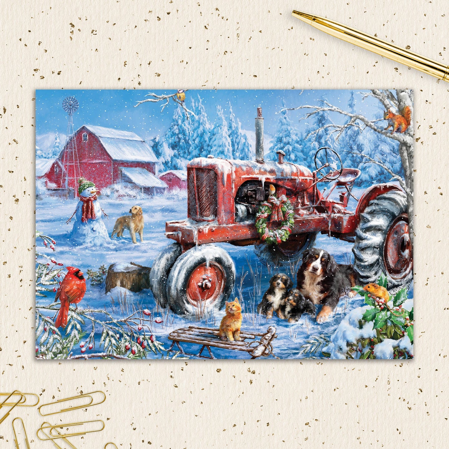 8564-IOPWOX0801S | XM/Farm Friends