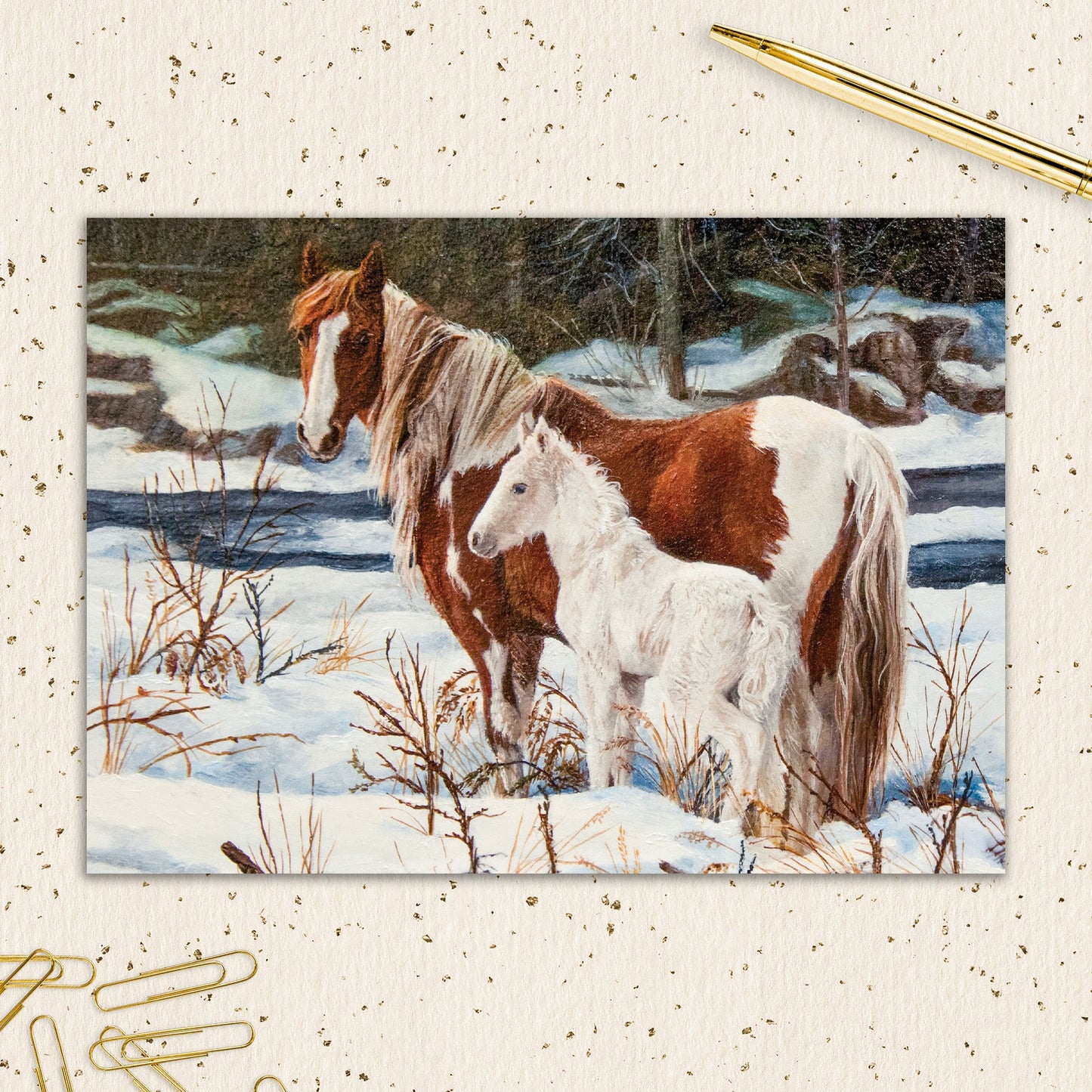 8564-IOPWOX1097L | XM/First Snowy Stroll