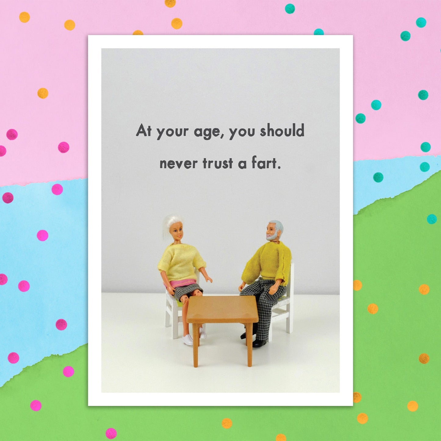 3895-JJB011 | BD/Never Trust a Fart