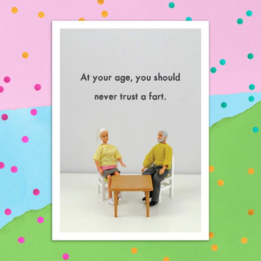 3895-JJB011 | BD/Never Trust a Fart