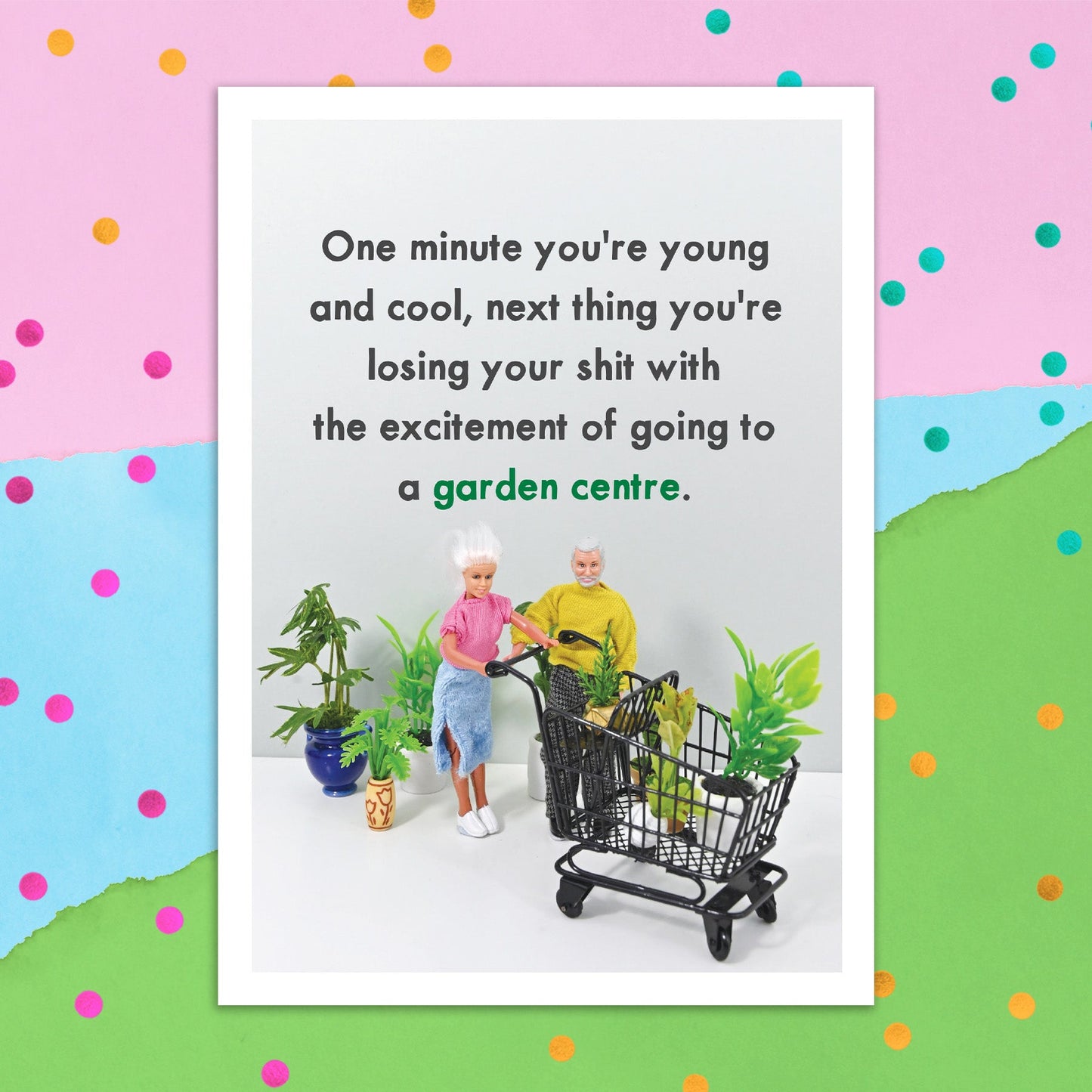 3895-JJG106 | ED/Garden Centre