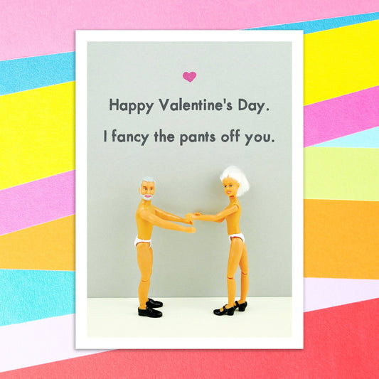 73895-JJR041 | VD/I fancy the pants off you