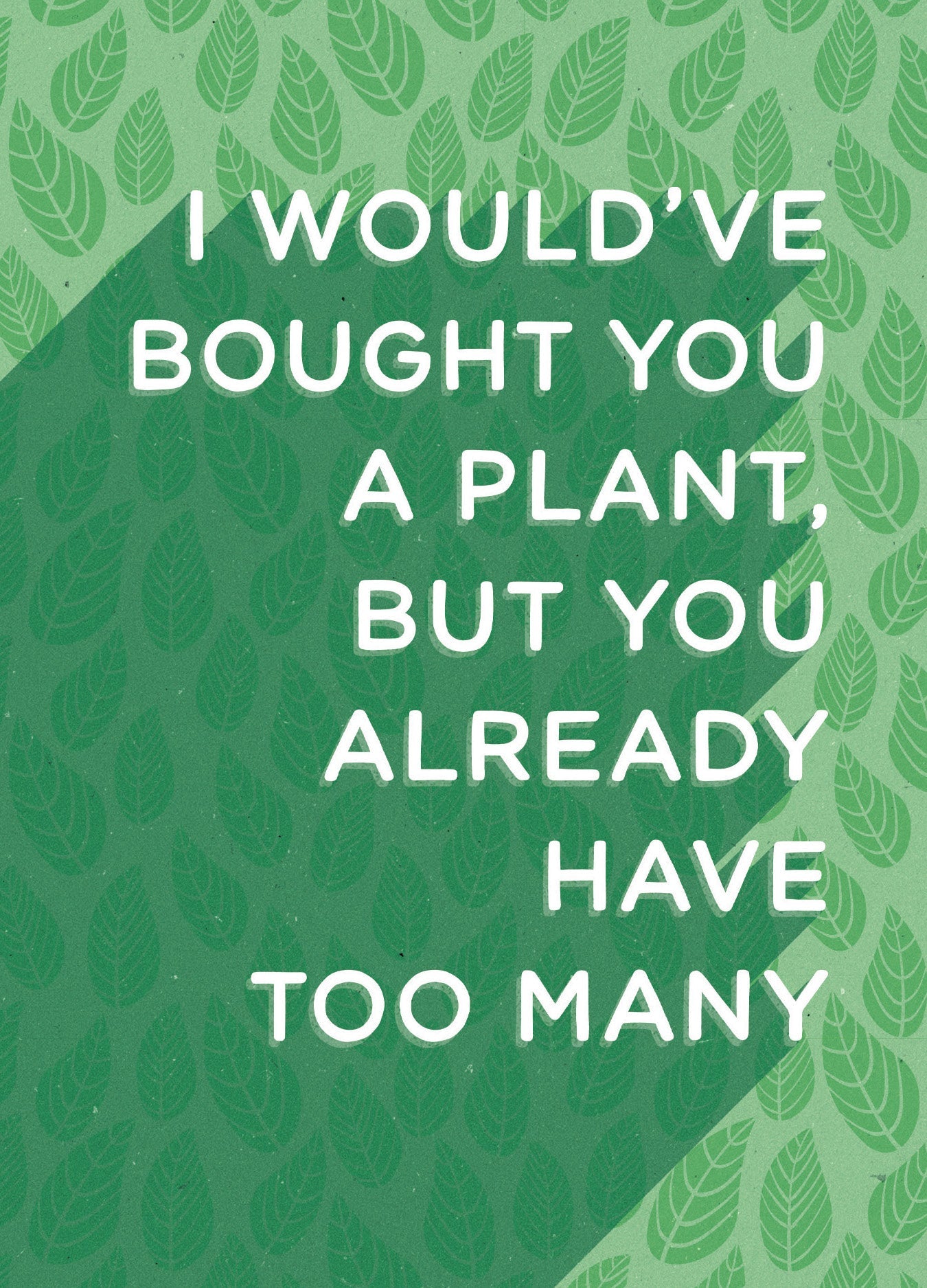 523-LBF0023 | BD/Bought A Plant