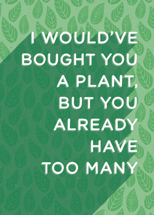 523-LBF0023 | BD/Bought A Plant