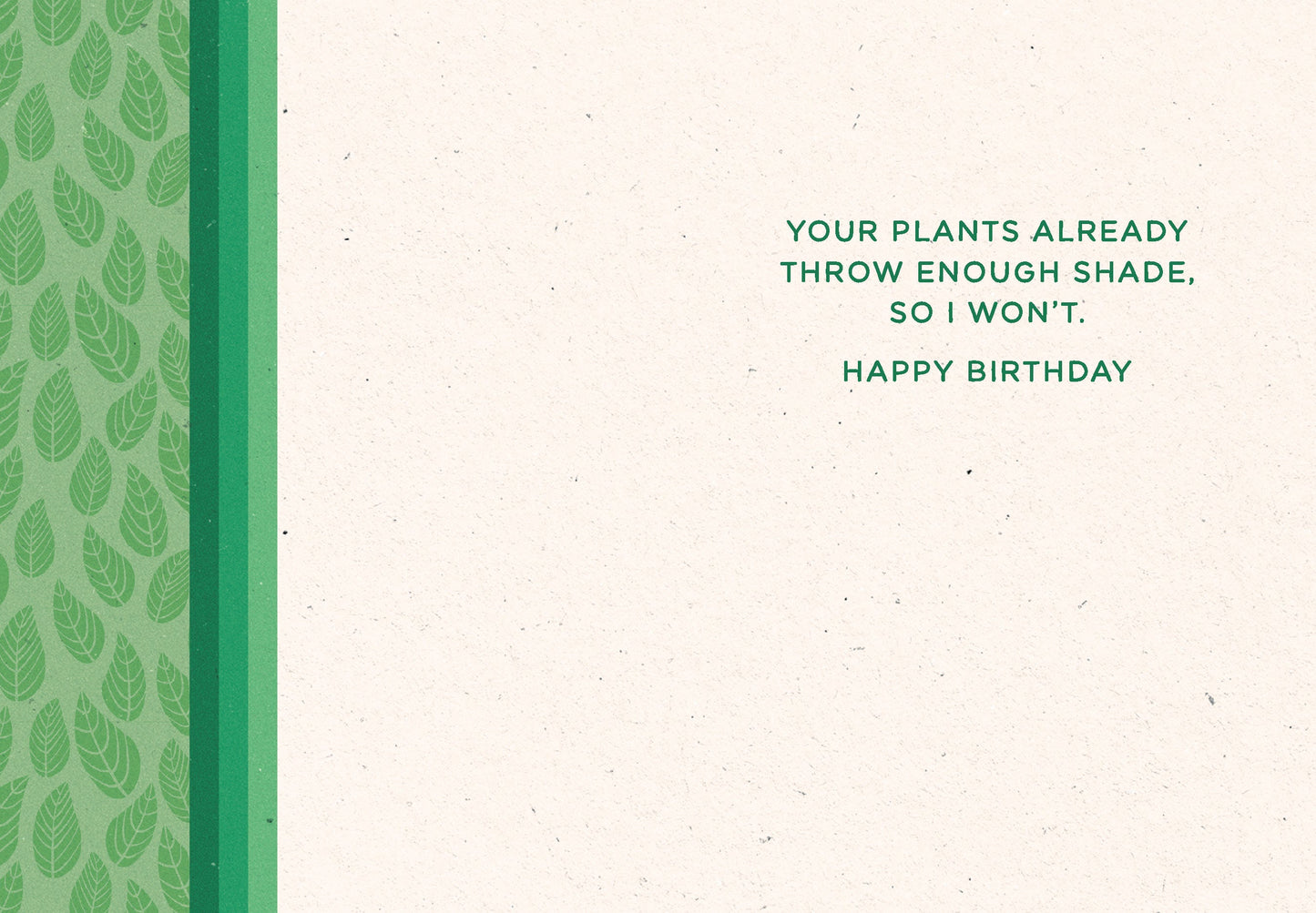 523-LBF0023 | BD/Bought A Plant