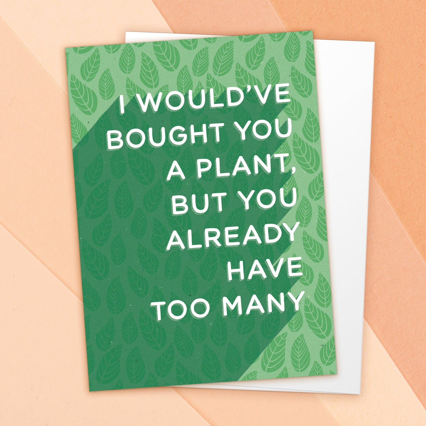 523-LBF0023 | BD/Bought A Plant