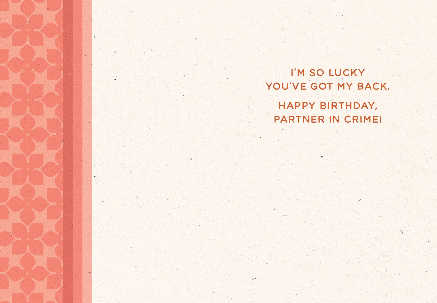 523-LBF0035 | BD/Hide A Body