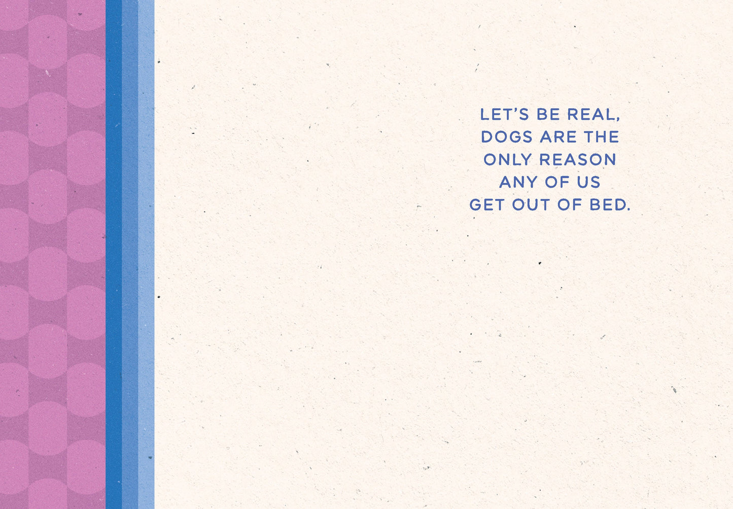 523-LBF0042 | ED/See A Dog