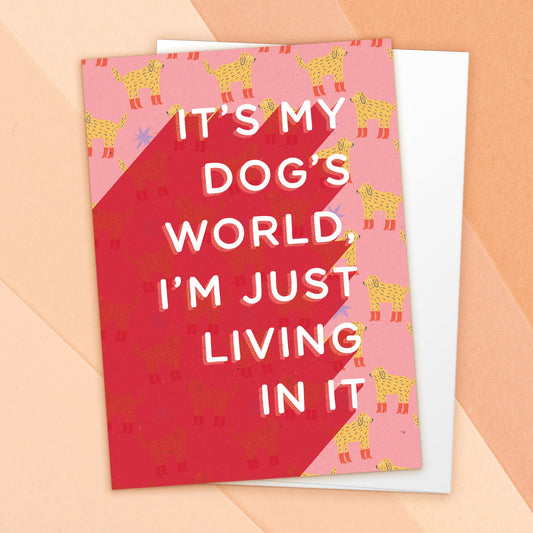 523-LBF0043 | ED/Dog's World