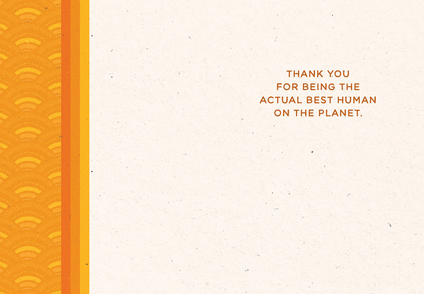 523-LBF0078 | TY/Sunshine